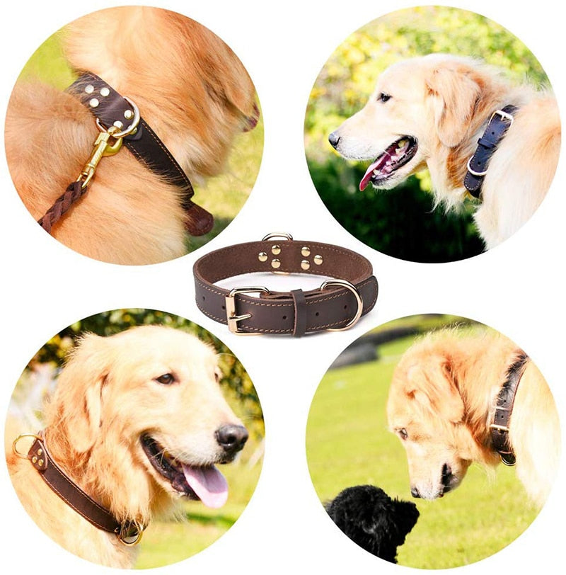 AlphaPick Quality Genuine Leather Dog Collar Durable Vintage Heavy-duty Rustproof Double D-Ring Pet Collar For Medium Large Dogs