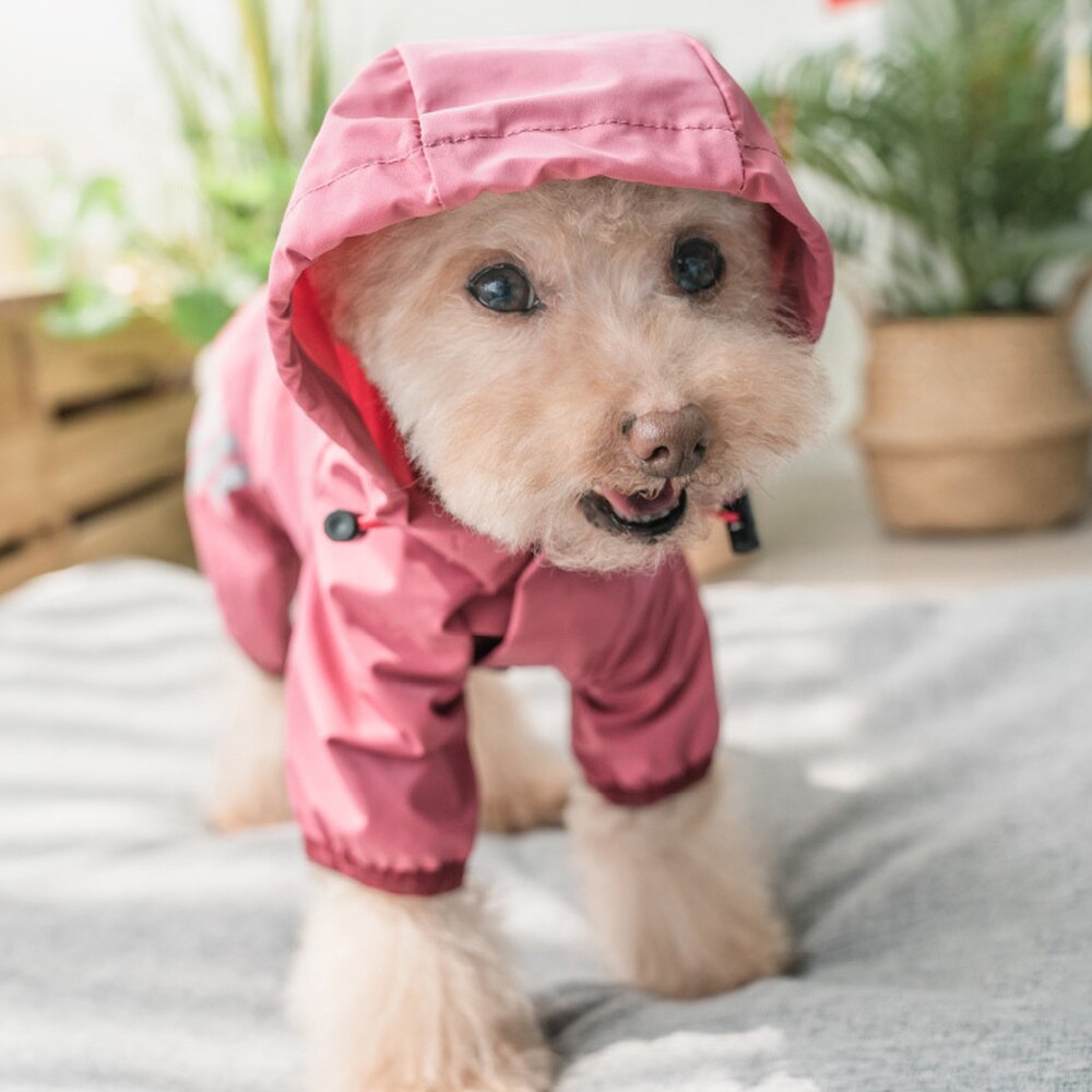 AlphaPick Pet Dog Raincoat