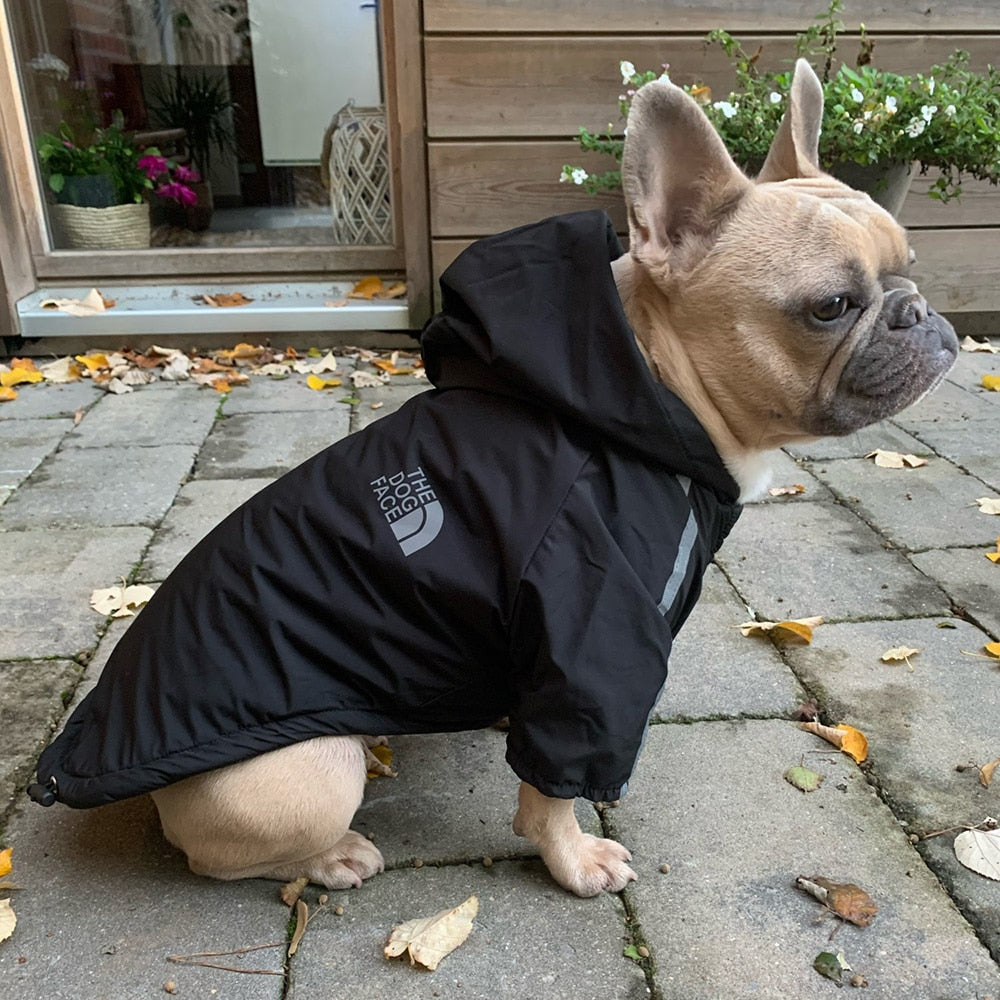 AlphaPick  Dog Waterproof Warm Coat Cotton Hooded Jacket Winter Coat