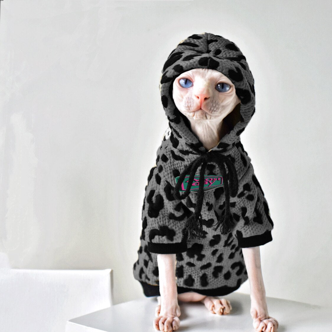 AlphaPick  Cat Clothes Handsome Retro Cotton Camouflage Sweater Warm Autumn and Winter