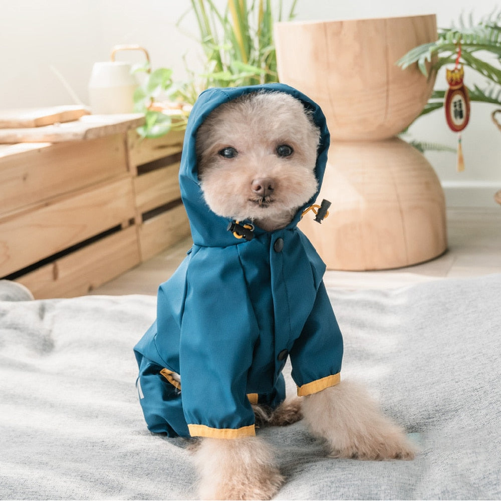 AlphaPick Pet Dog Raincoat