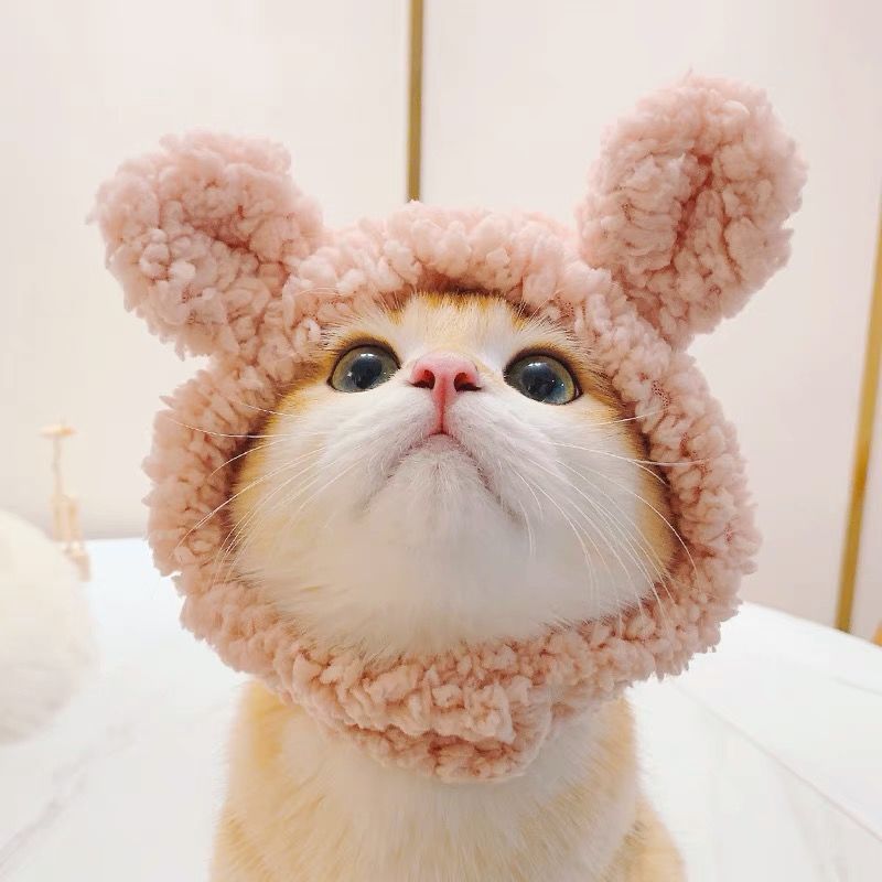 AlphaPick Cute Bear Ears Pets Cat Hat