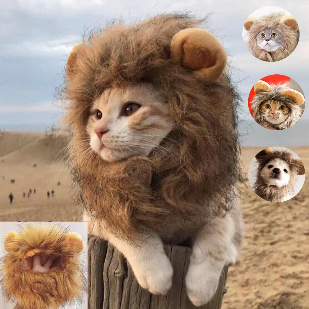 AlphaPick Cute Lion Mane Costume for Cat