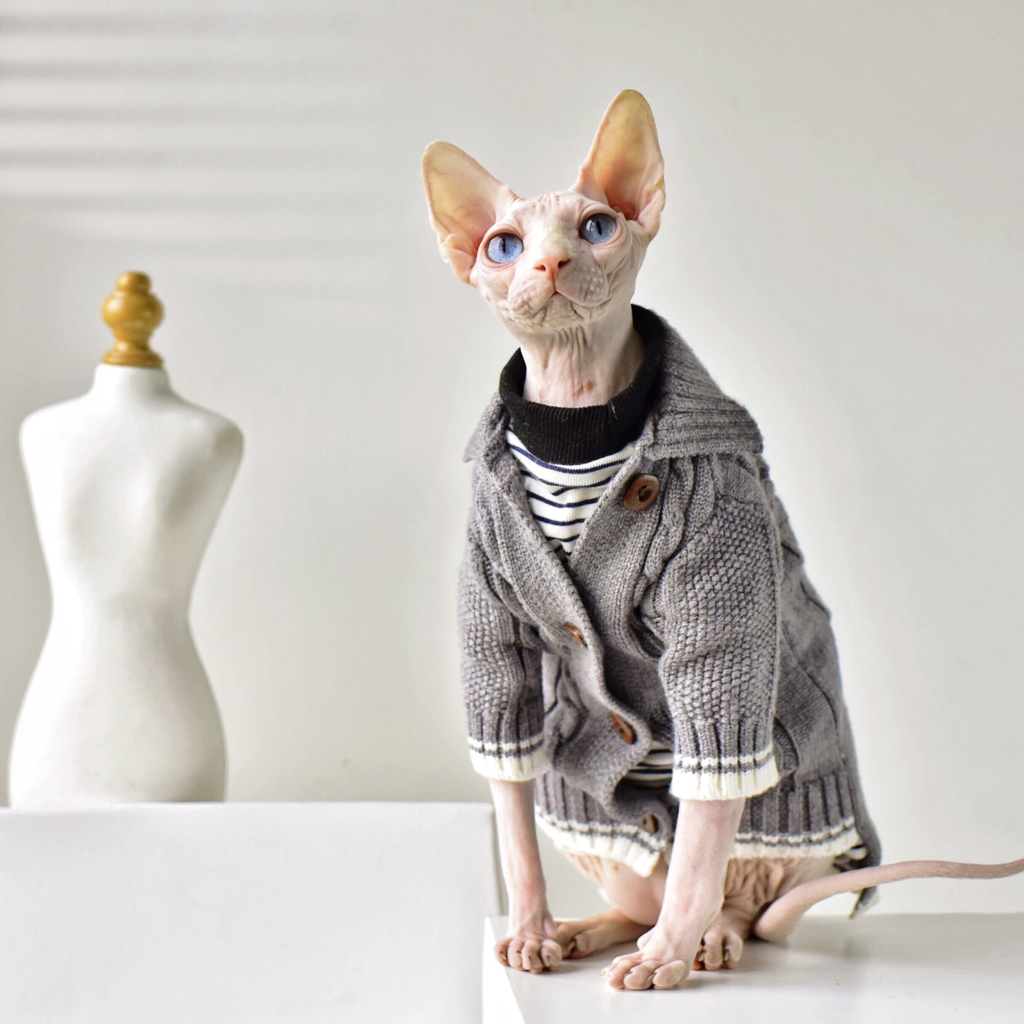 AlphaPick Exclusive Design Cat Clothes Hairless Cat Sweater