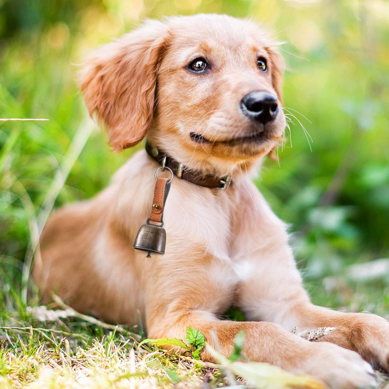 AlphaPick Metal Bells For Dog